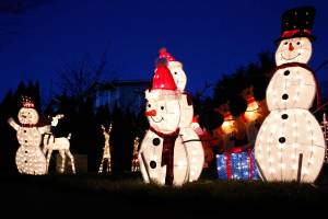 Christmas lights decorate a home in Arlington and throughout Snohomish County and are listed online via Facebook.  (Kevin Clark / The Herald)