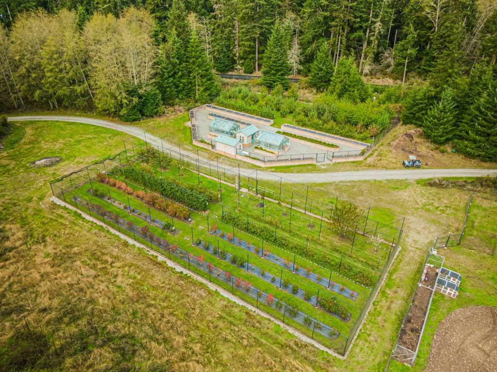 The property has greenhouses and irrigated orchards. (Eddie Hayes / Digital Tide Productions)