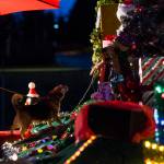 Diesel the dog hesitantly smells Santa Claus during the socially distanced meet-up hosted by Maryfest on Thursday in Marysville. (Olivia Vanni / The Herald)