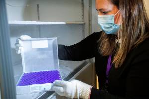 University of Washington Medical Center Pharmacy Manager Christine Meyer puts a tray of doses of the Pfizer-BioNTech COVID-19 vaccine into the deep freeze after the vaccine arrived at the University of Washington Medical Center's Montlake campus Monday, Dec. 14, 2020, in Seattle. (Mike Siegel/The Seattle Times via AP, Pool)