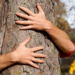 Forest rangers in Iceland are encouraging hikers to hug trees to help them feel better during the pandemic. (Getty Images)