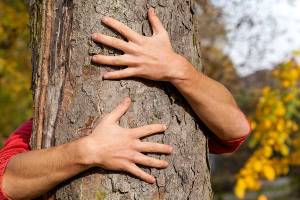 Man hugging the tree in the park
