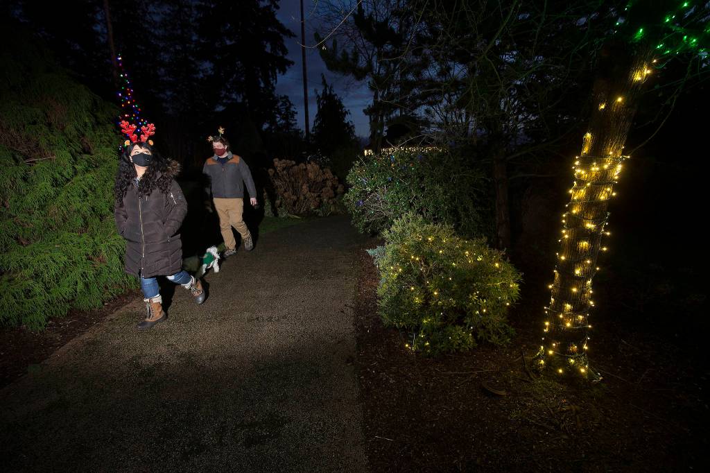 Andy Bronson / The Herald
Monica and Chris Buskuhl, of Edmonds, walk their dog, Rani, through Wintertide Lights at Evergreen Arboretum in Legion Park in Everett.