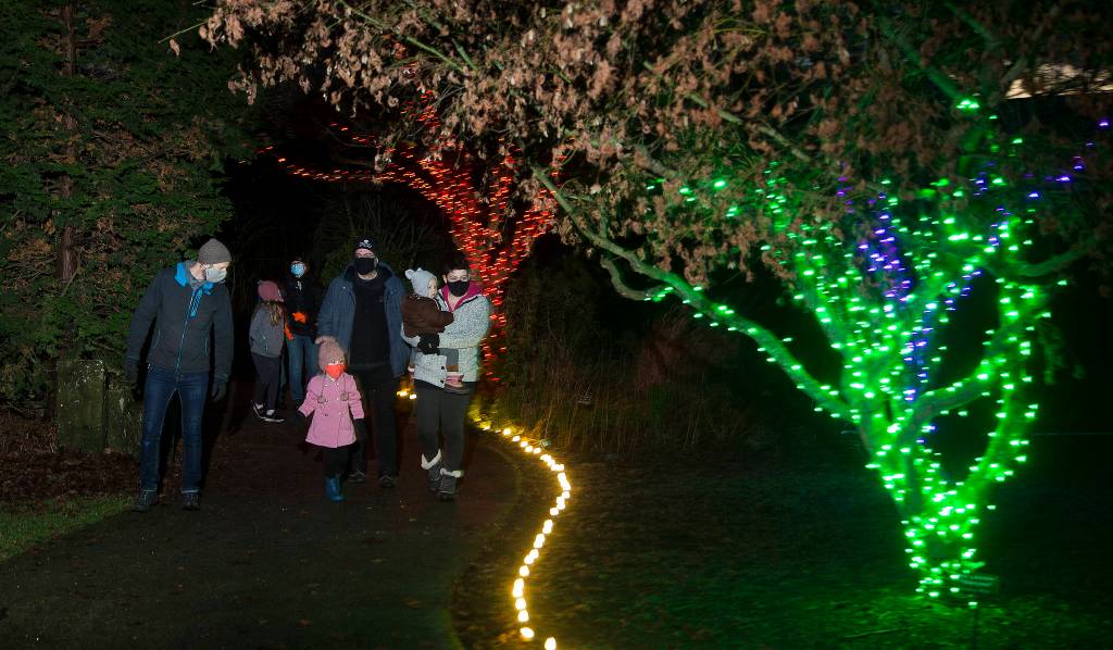 Visitors look at Wintertide Lights at the Evergreen Arboretum in Legion Park in Everett. (Andy Bronson / The Herald)
