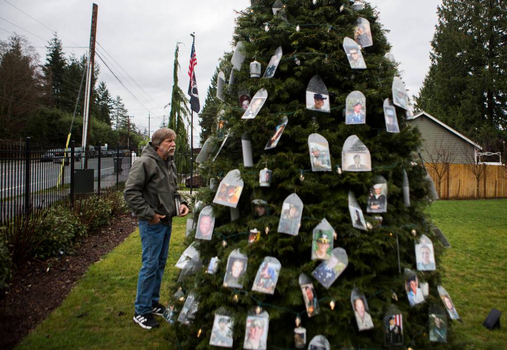 Patrick Crosby looks over some of the photographs hanging from his tree Wednesday in Lynnwood. (Olivia Vanni / The Herald)