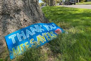 A sign along Colby Ave. in Everett seen this summer near Providence Regional Medical Center. (Sue Misao / Herald file)