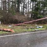 A driver died in a crash that took out a telephone pole Saturday on Camano Island. Two people were left with serious injuries. (Washington State Patrol)