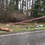 A driver died in a crash Saturday on Camano Island that took out a telephone pole. Two people were left with serious injuries.  (Washington State Patrol)
