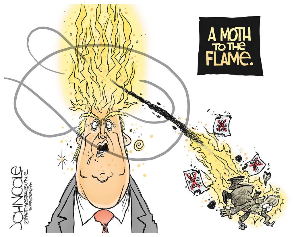 toon
