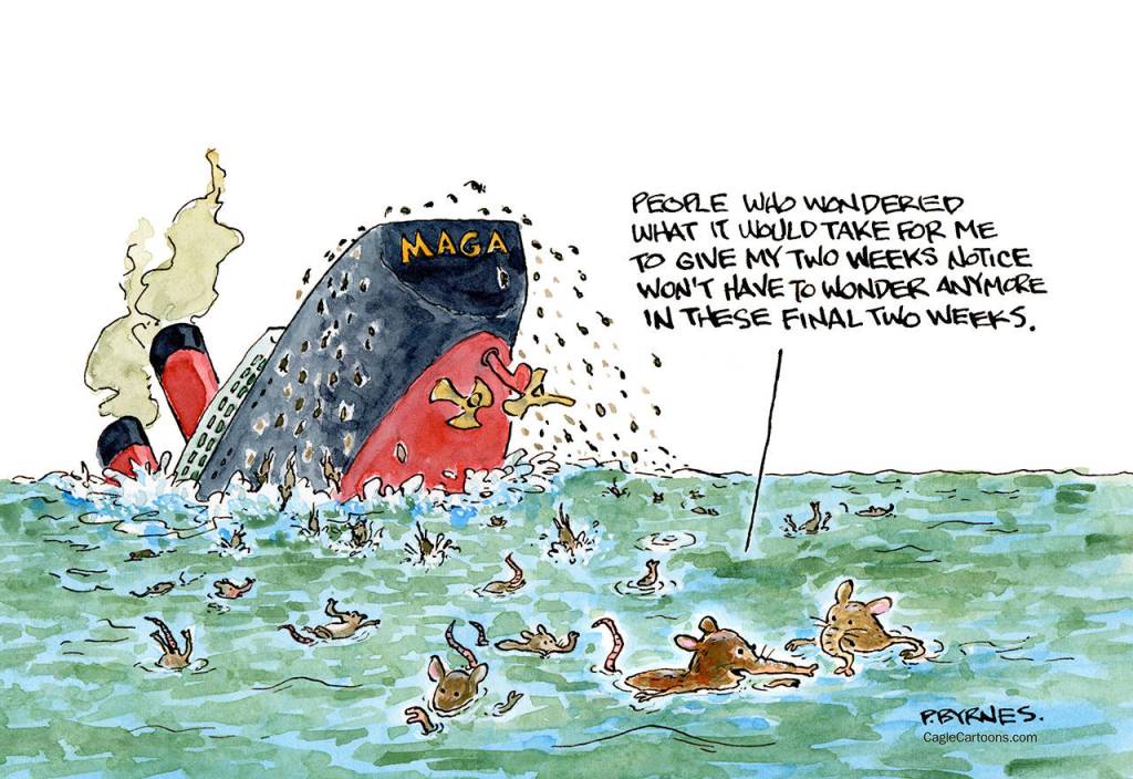 toon