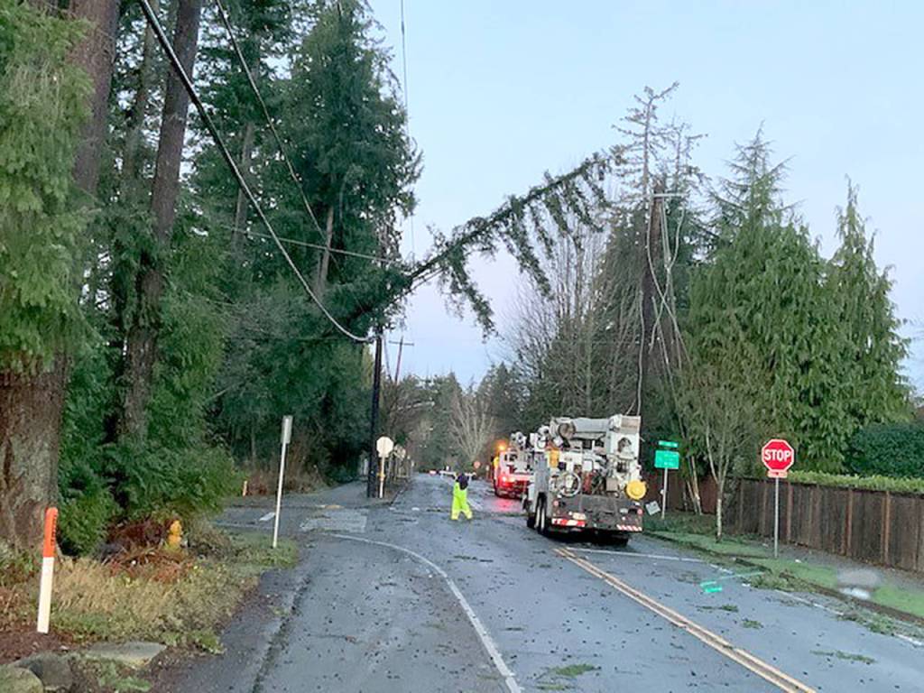 High winds toppled trees over roads and onto power lines across Snohomish County late Tuesday night and early Wednesday morning. (Snohomish County PUD)