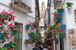 Córdoba’s back streets are a delight to explore.