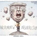 January 14, 2021: Impeachment part 2