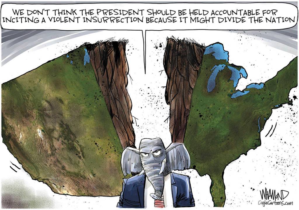 toon