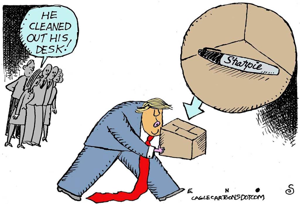 toon