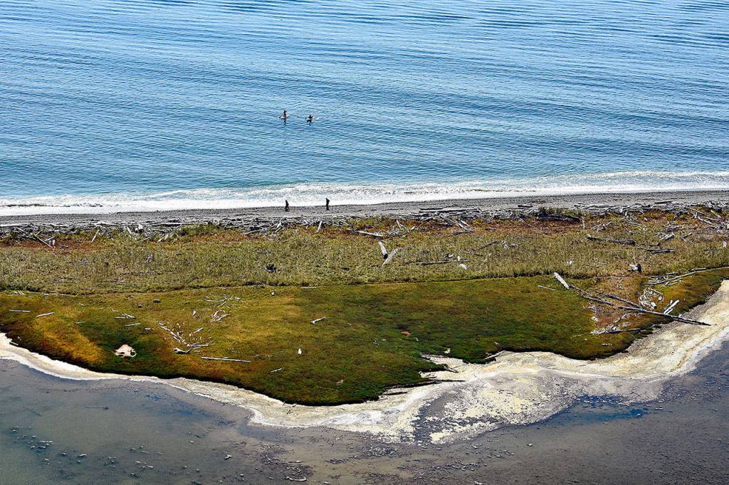 From high up on the bluff trail near Ebeys Landing, people look like specks along a strip of land dividing a lagoon from the Strait of Juan de Fuca. (Caleb Hutton / The Herald)