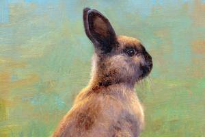 rabbit