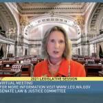 State Sen. Patty Kuderer, D-Bellevue, is shown against a virtual background as she speaks Tuesday during a remote public hearing of the Senate Law & Justice Committee in Olympia. Kuderer is the sponsor of a measure that would ban the open carry of guns and other weapons on the state Capitol campus and at or near any public demonstration across Washington. (TVW via AP)
