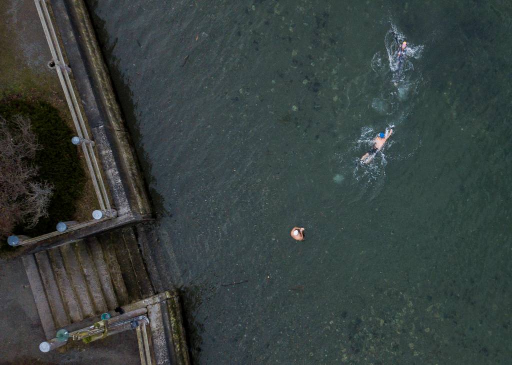 Kristina Galbreaith, right, Brian McCleary and Joe Hempel star off from Seawall Park for their swim on Friday, Jan. 29, 2021 in Langley, Wa. (Olivia Vanni / The Herald)