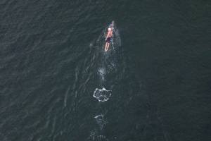 Joe Hempel swims off of the shore of Seawall Park on Friday, Jan. 29, 2021 in Langley, Wa. (Olivia Vanni / The Herald)