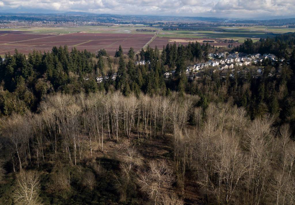 The Pinehurst subdivision, just south of the Go East Corp. landfill site. (Olivia Vanni / The Herald)