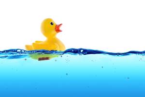Rubber duck float in water