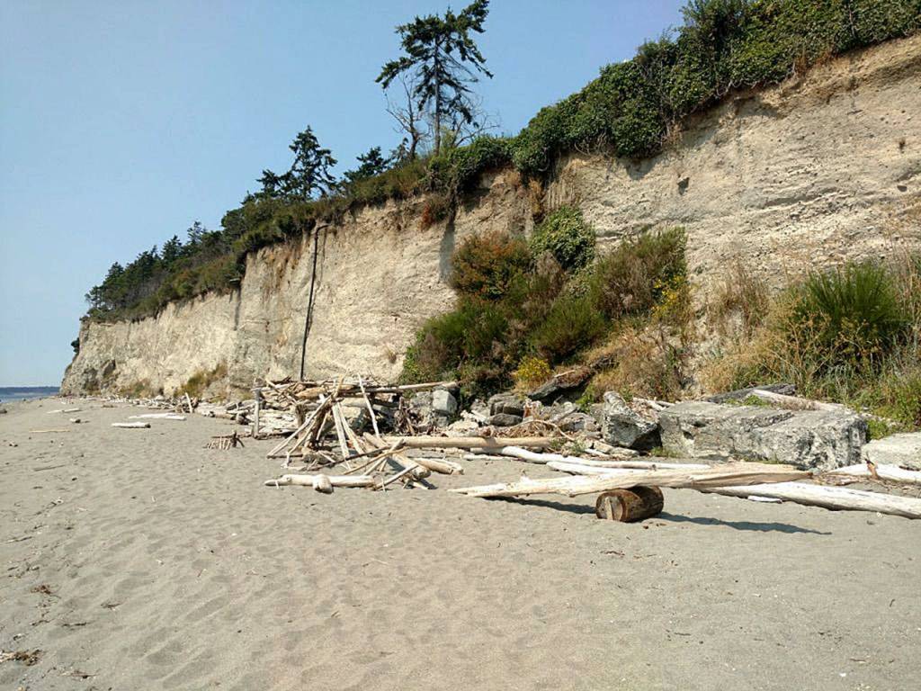 Mutiny Bay Vista on Whidbey Island boasts a mostly sandy beach. (Photo by Rachel Nostrom)