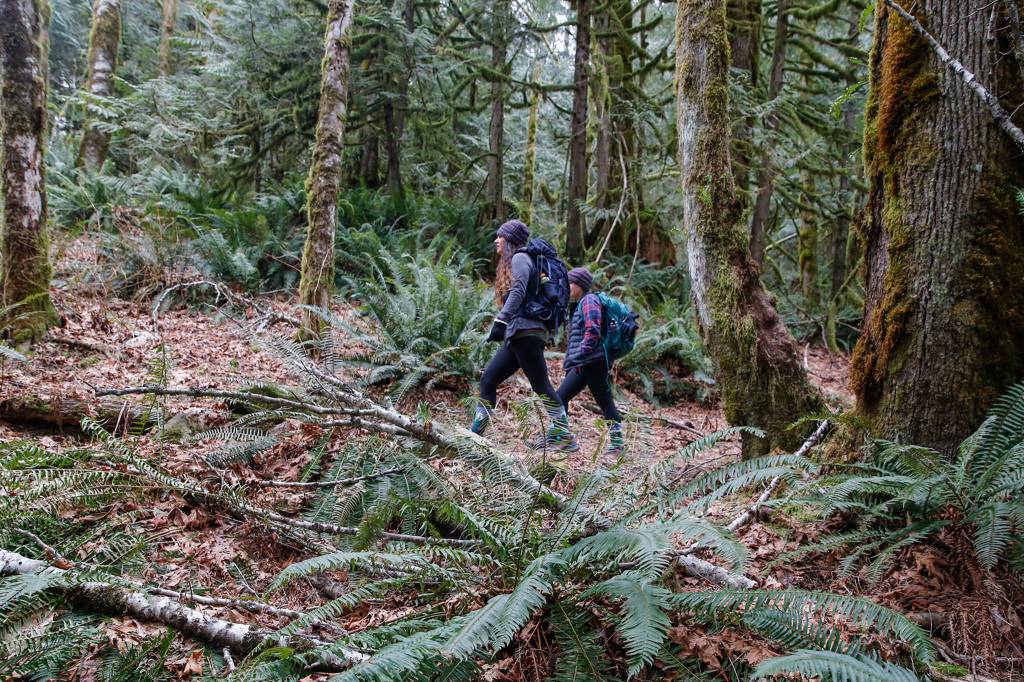 The Heybrook Ridge Trail is one of Colleen Fadden and Kendra Swansons favorite hikes. (Kevin Clark / The Herald)