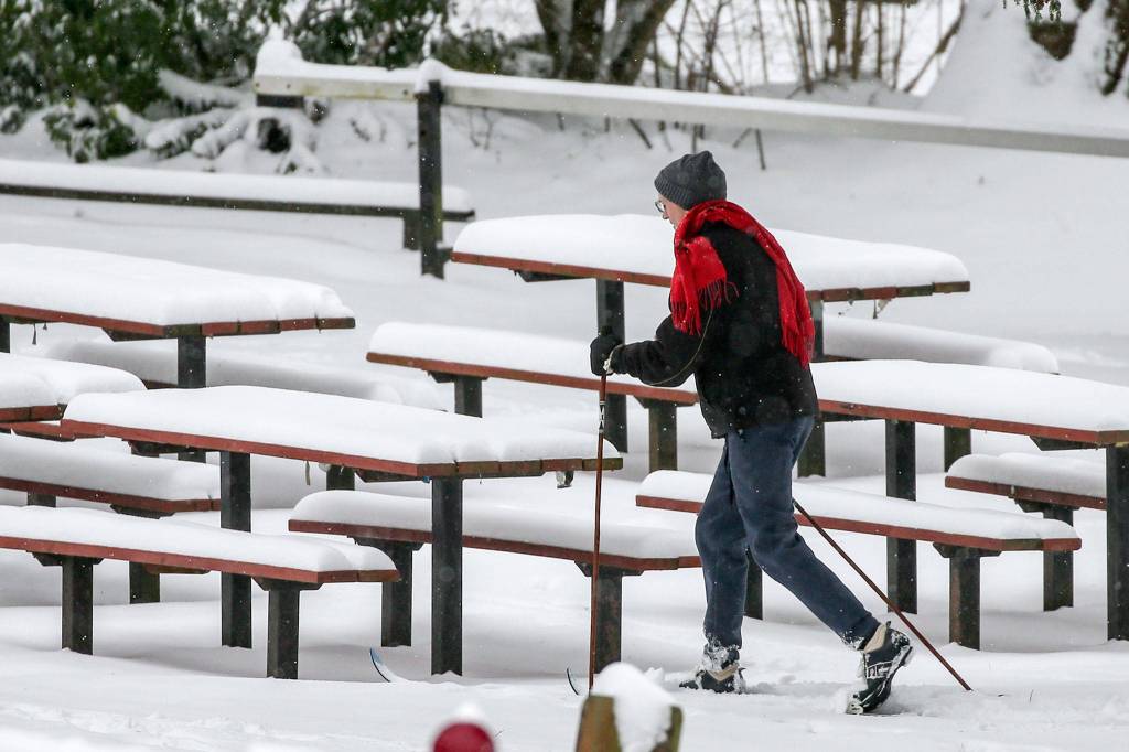 A resident skis through Edmonds City Park Saturday. (Kevin Clark / The Herald)
