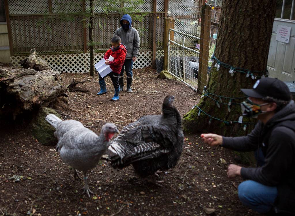 Riley Wong gets ready to read the letter wrote to Stella the turkey. (Olivia Vanni / The Herald)