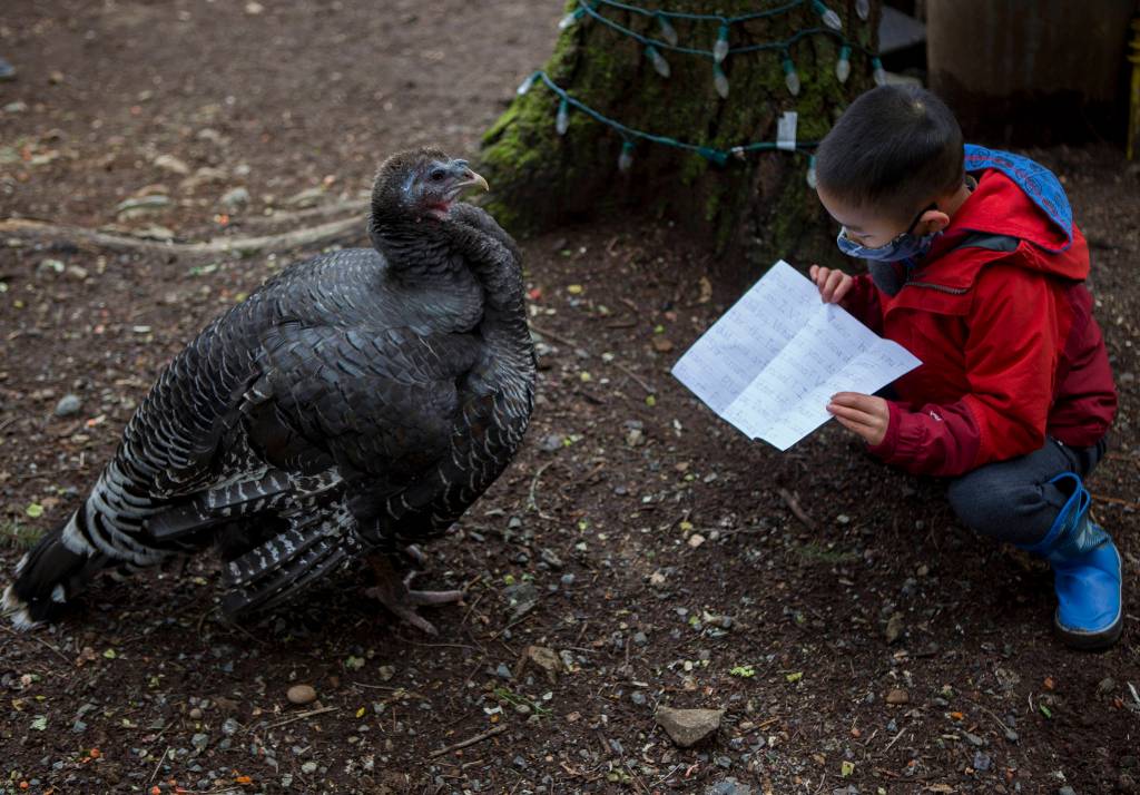 Riley Wongs mother, Jennifer Wong, says the pan pal program has been a great way for Riley to work on his writing. (Olivia Vanni / The Herald)