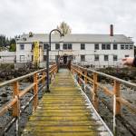 Paul McElhany points out how far the new building will extend past the current building at Northwest Fisheries Science Center's Mukilteo Research Station on Tuesday, April 23, 2019 in Mukilteo, Wash. (Olivia Vanni / The Herald)