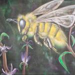 See Pmas Bee at the Prophets, Teachers and Kings exhibit at the Rosella art gallery in Snohomish.