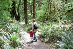 The parenting journey takes you on an adventurous path at each stage of your child’s development. (Jennifer Bardsley)