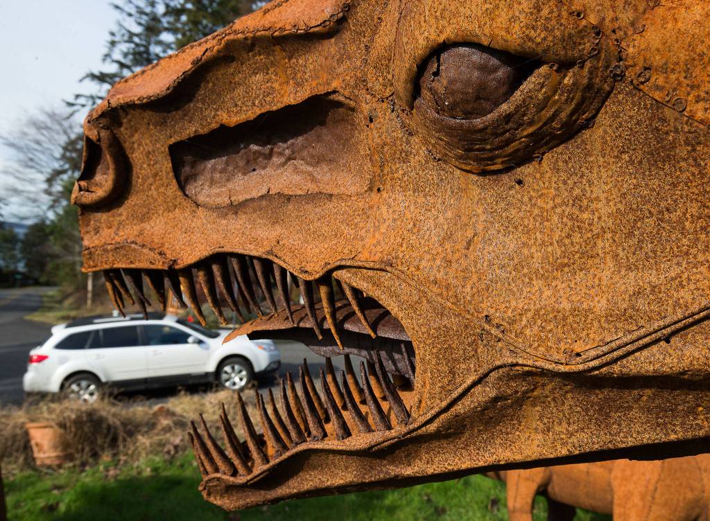 A Tyrannosaurus rex appears to eat a car at a home owned by Burt Mason and Mary Saltwick in Freeland on Whidbey Island. (Andy Bronson / The Herald)