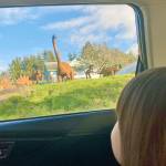 A view of the Freeland dinosaur yard through a car window. (Andrea Brown / The Herald)