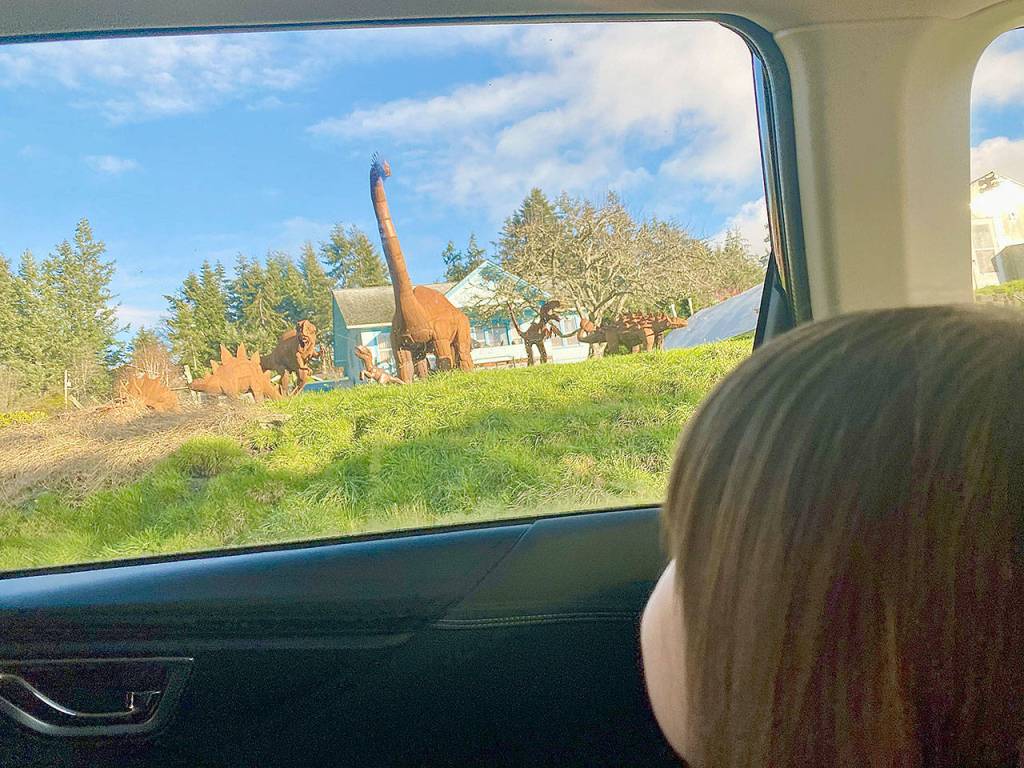 A view of the Freeland dinosaur yard through a car window. (Andrea Brown / The Herald)