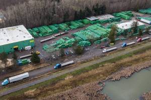 Parked tractor-trailers line the side of 40th Avenue NE on Friday, Feb. 26, 2021 in Marysville, Wa. (Olivia Vanni / The Herald)
