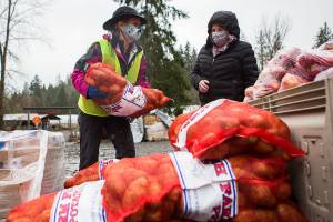 Farmer Frog volunteer Amy Drackert helps load potatoes into cars on Friday, March 5, 2021 in Woodinville, Wa. (Olivia Vanni / The Herald)