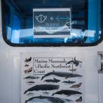 Aboard the Island Explorer 4 whale-watching vessel in Everett, a sign reminds people to wear a mask and socially distance. (Olivia Vanni / The Herald)