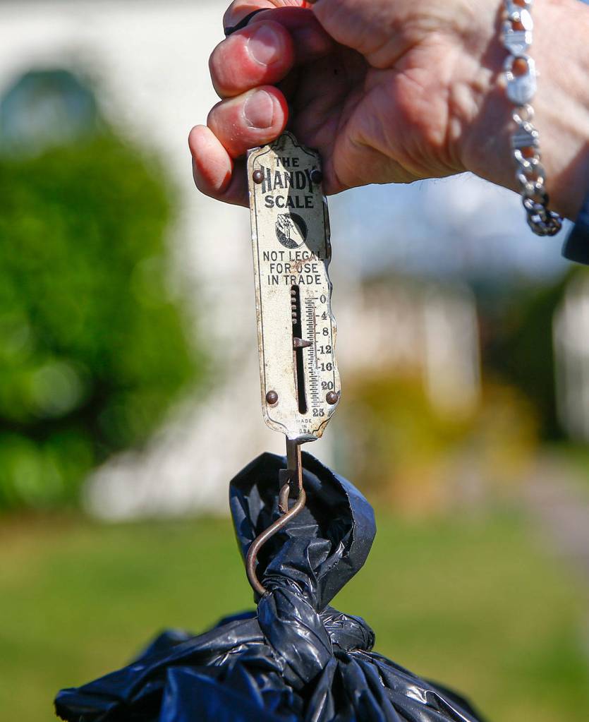 Collected plastic bags are weighed Friday afternoon in Snohomish. (Kevin Clark / The Herald)