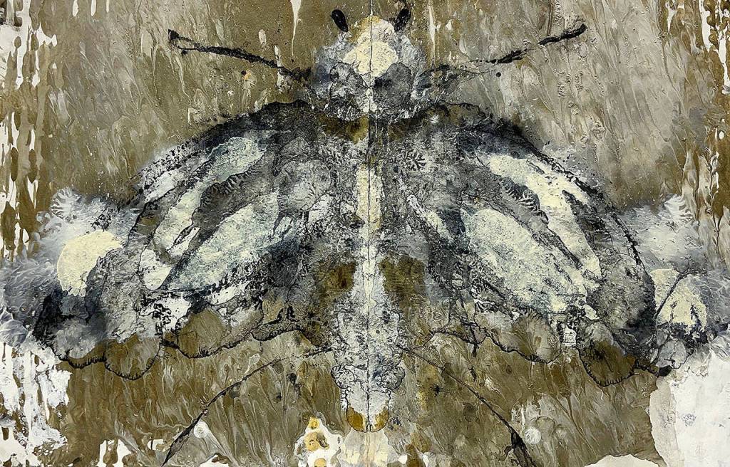 Moth by Curt Labitzke
