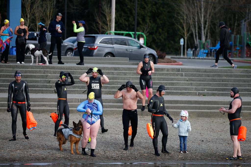 Members of the Lake Stevens Open Water Swimmers group gather at Lundeen Park for an early morning practice. (Kevin Clark / The Herald)