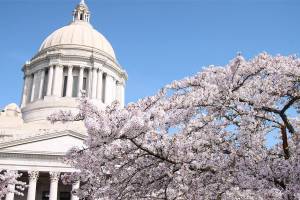 The Washington State Capitol in Olympia. (Emma Epperly/WNPA Olympia News Bureau, file)