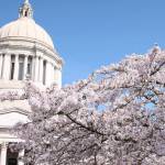 The Washington State Capitol in Olympia. (Emma Epperly/WNPA Olympia News Bureau, file)