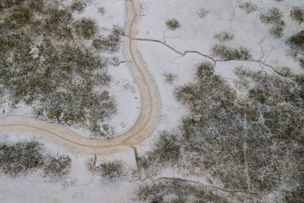 Small channels branch off from a man-made main channel that weaves through a restored floodplain area for salmon habitat on March 26 in Stanwood. (Olivia Vanni / The Herald)