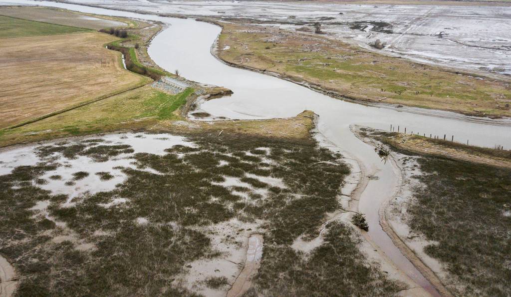 Farmland (left) borders a restored floodplain area, across from Leque Island that is currently under restoration, on March 26 in Stanwood. (Olivia Vanni / The Herald)