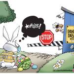 toon