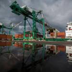 Two 214-foot tall cranes work to unload their first cargo shipments at the South Terminal of the Port of Everett on Thursday. (Olivia Vanni / The Herald)