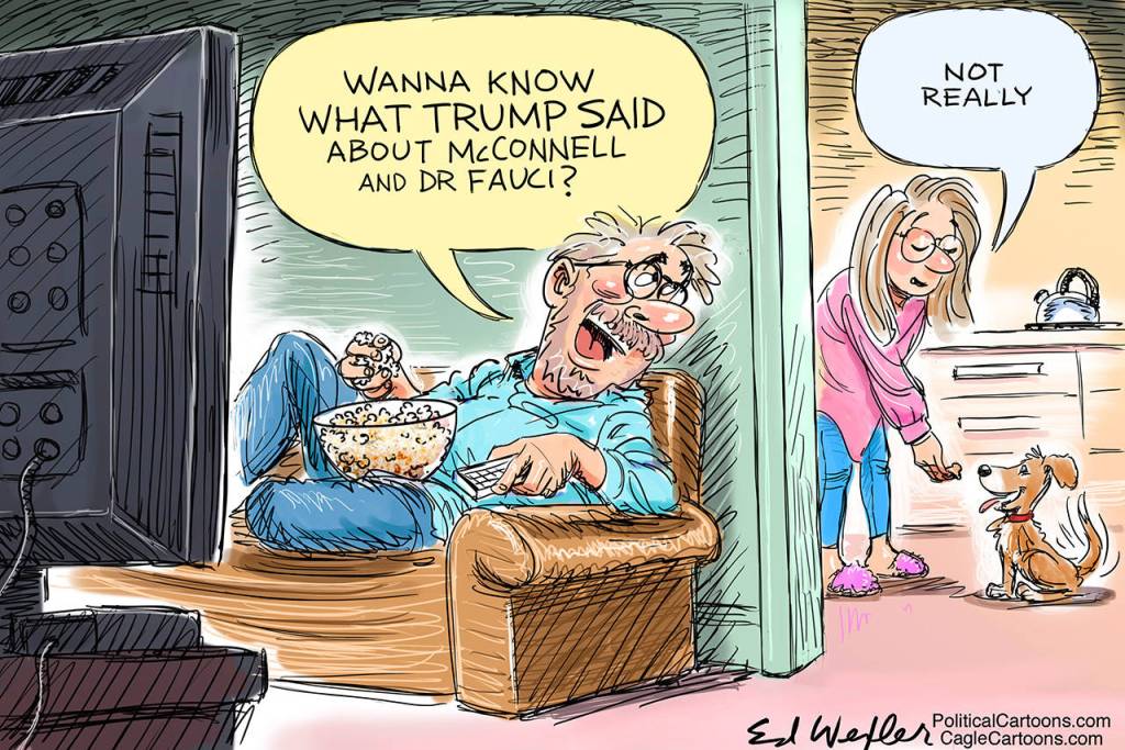 toon